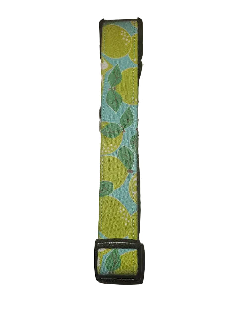 Jessa Dog Collar