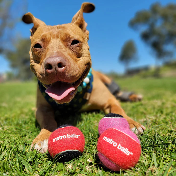 Metroball Designer Tennis Ball 3 pack