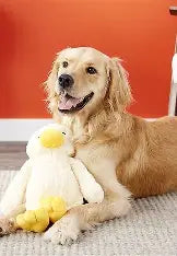 15" Duck Plush Dog Toy