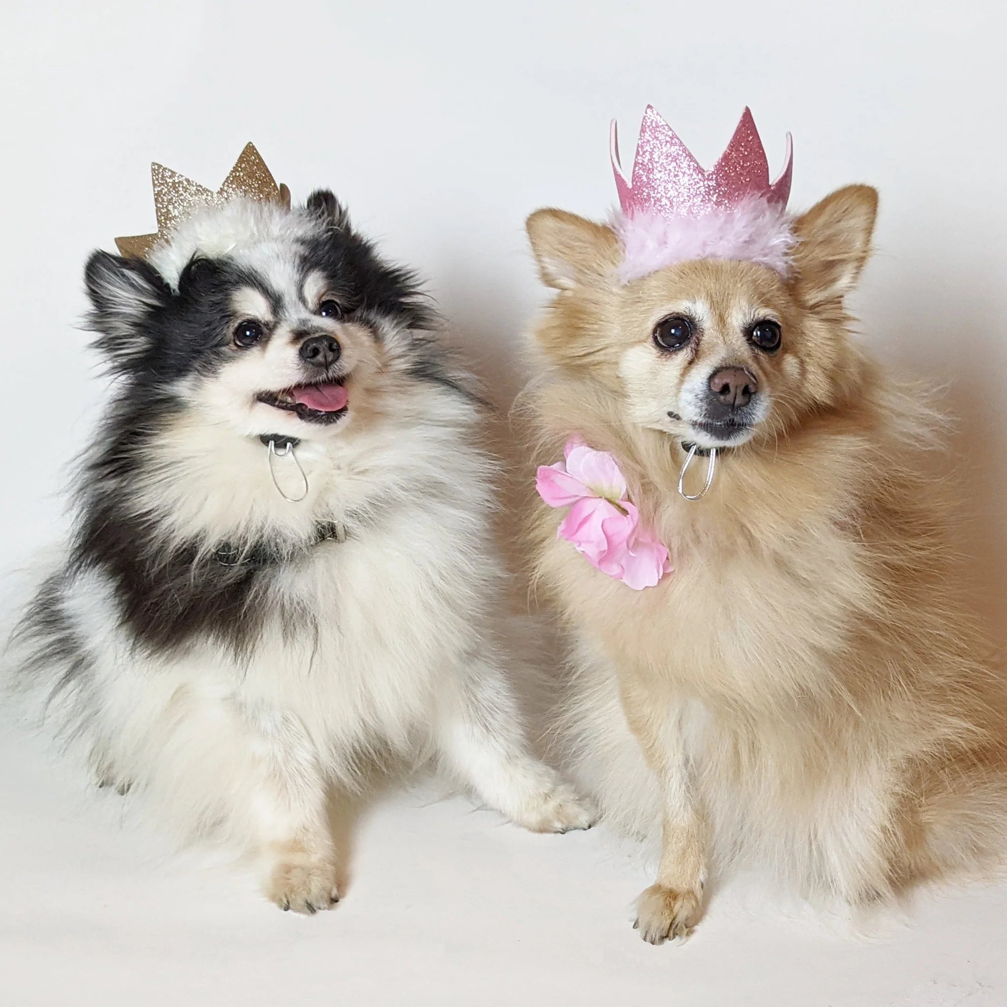 Birthday Party Crown