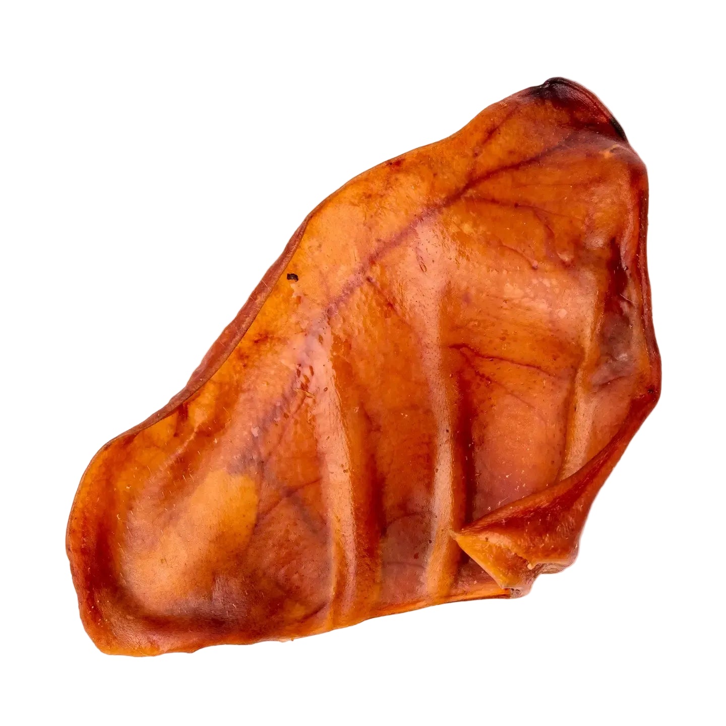 Pig Ear Chew