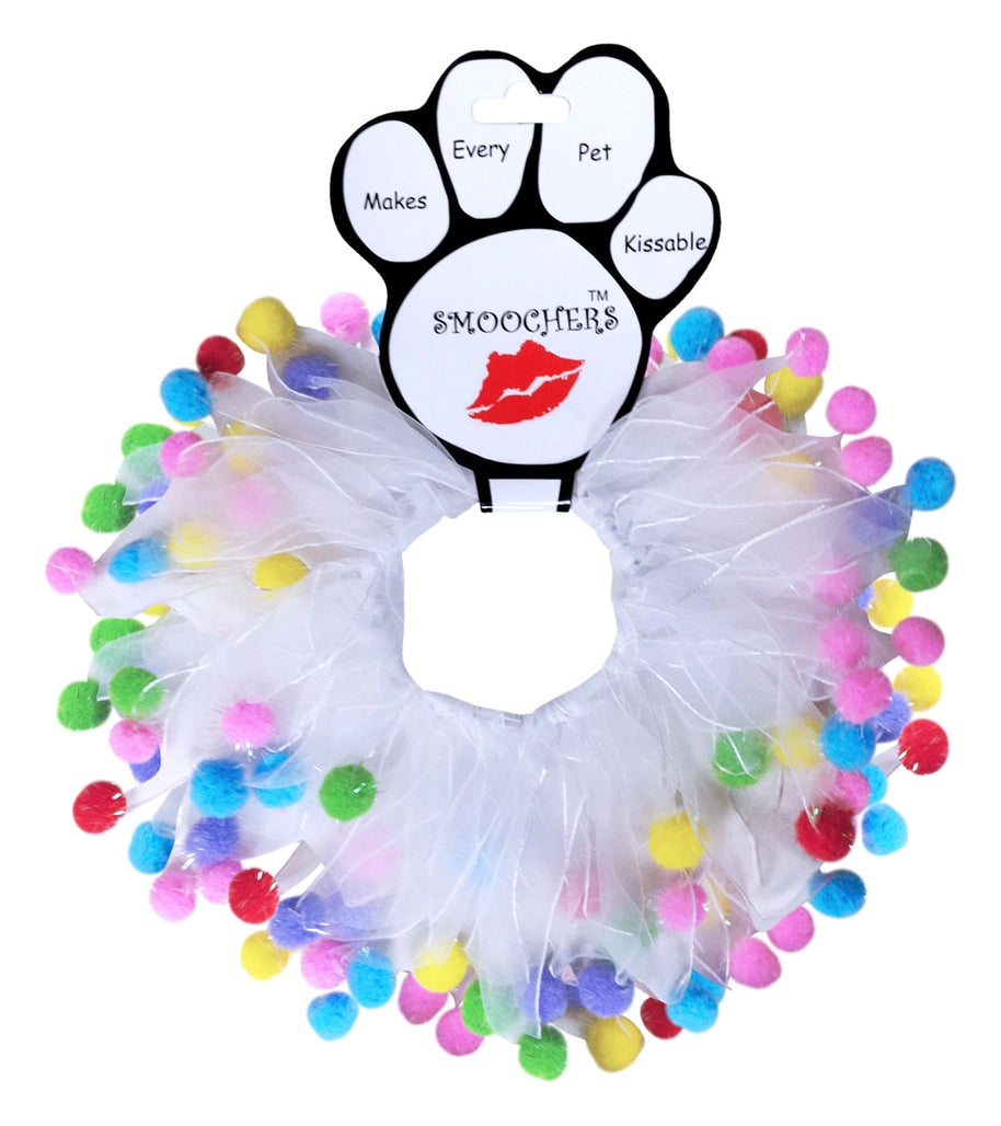Birthday Party Collar