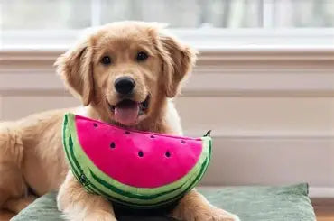 Large Watermelon Plush Dog Toy