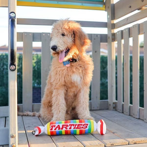 Farties Plush Dog Toy
