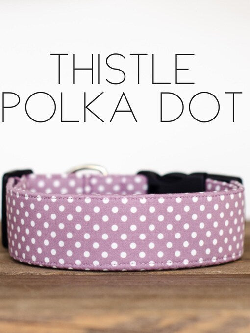 Thistle Polka Dot Collar